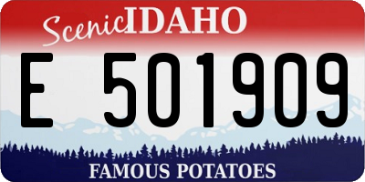 ID license plate E501909