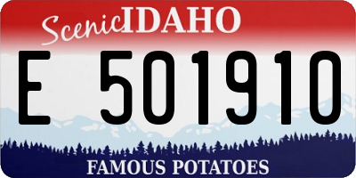 ID license plate E501910