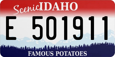 ID license plate E501911
