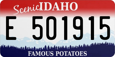 ID license plate E501915