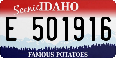 ID license plate E501916