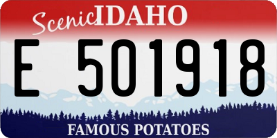 ID license plate E501918