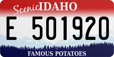 ID license plate E501920