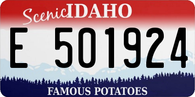 ID license plate E501924