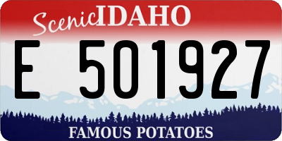 ID license plate E501927