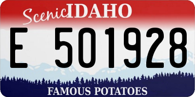 ID license plate E501928