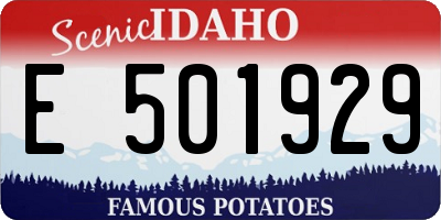 ID license plate E501929