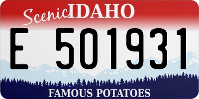 ID license plate E501931