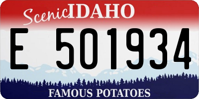 ID license plate E501934