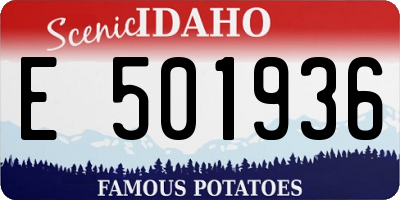 ID license plate E501936