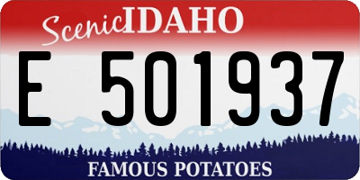 ID license plate E501937