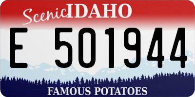 ID license plate E501944