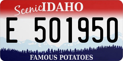 ID license plate E501950