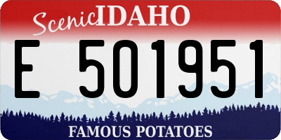 ID license plate E501951