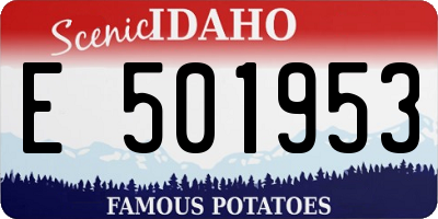 ID license plate E501953