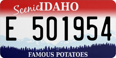 ID license plate E501954
