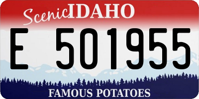 ID license plate E501955