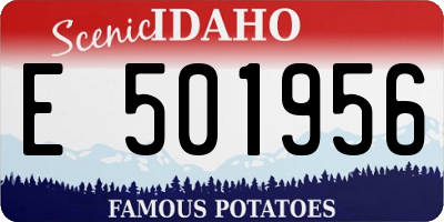 ID license plate E501956