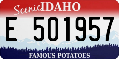 ID license plate E501957