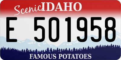 ID license plate E501958