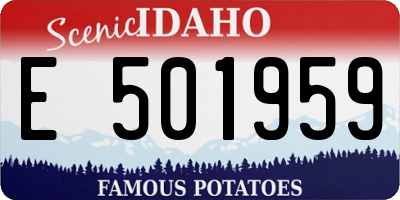 ID license plate E501959