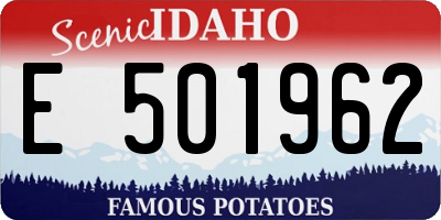 ID license plate E501962