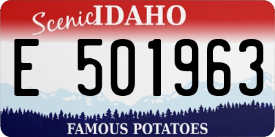 ID license plate E501963