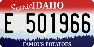 ID license plate E501966