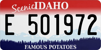 ID license plate E501972