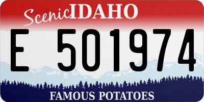 ID license plate E501974