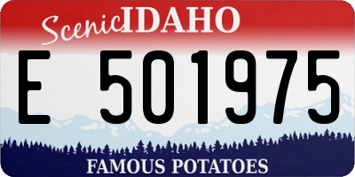 ID license plate E501975