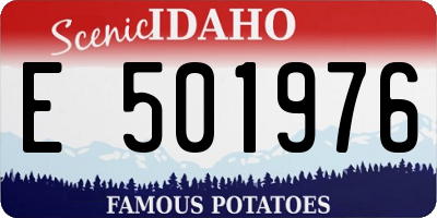 ID license plate E501976
