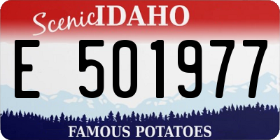 ID license plate E501977