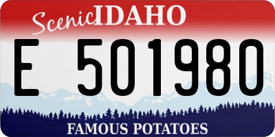 ID license plate E501980