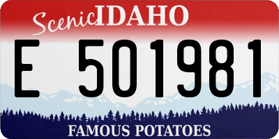ID license plate E501981