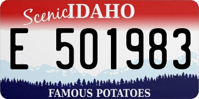 ID license plate E501983