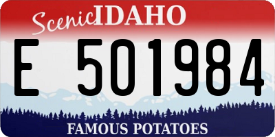 ID license plate E501984