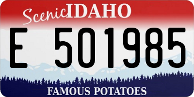 ID license plate E501985