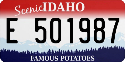 ID license plate E501987