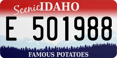 ID license plate E501988