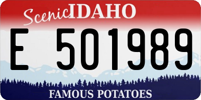 ID license plate E501989