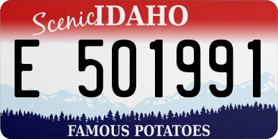 ID license plate E501991