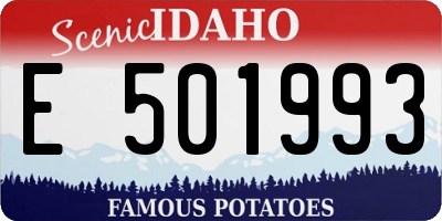 ID license plate E501993
