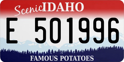 ID license plate E501996