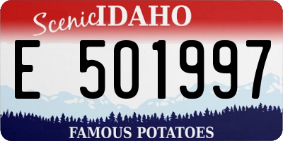 ID license plate E501997
