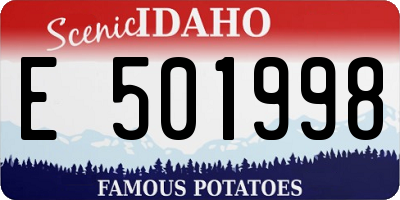 ID license plate E501998