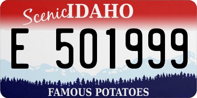 ID license plate E501999