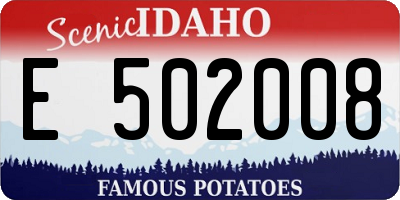 ID license plate E502008