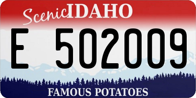 ID license plate E502009