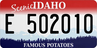 ID license plate E502010